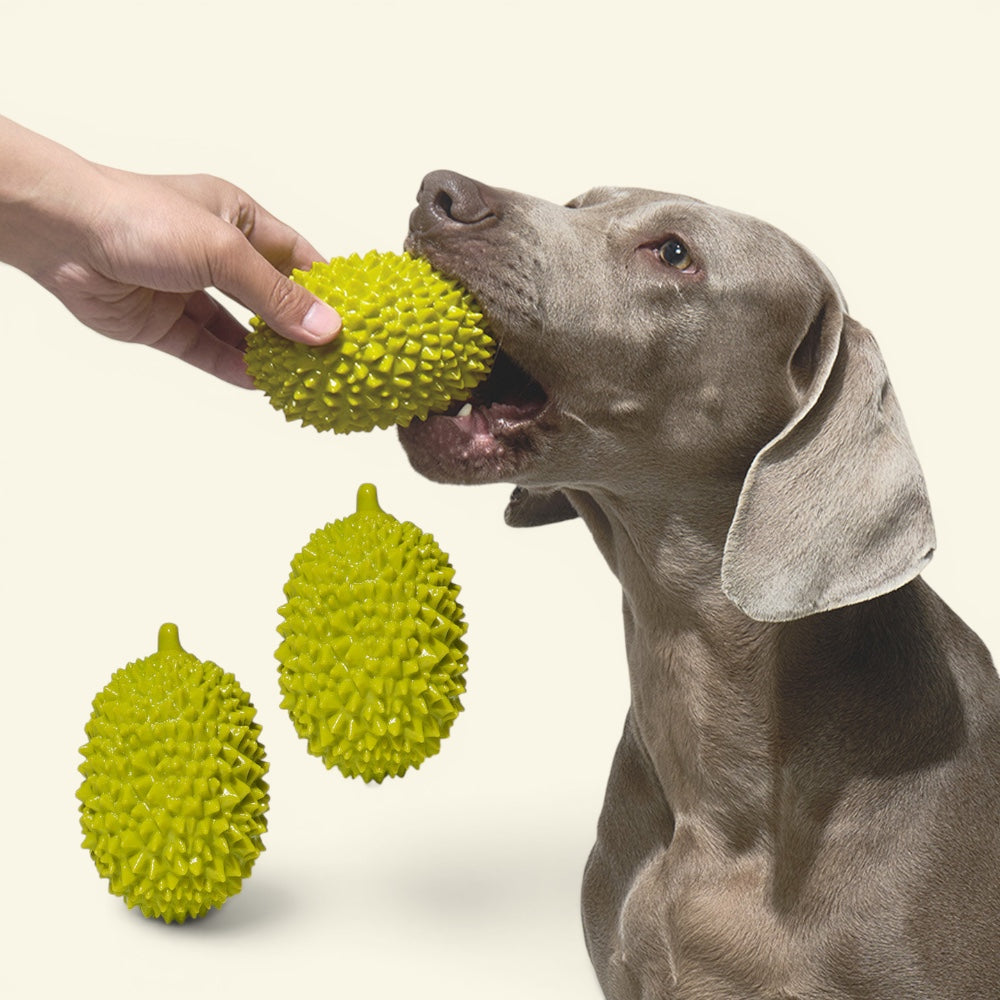 the durian – floating tpr chew dog toy, detail 2, uggaz