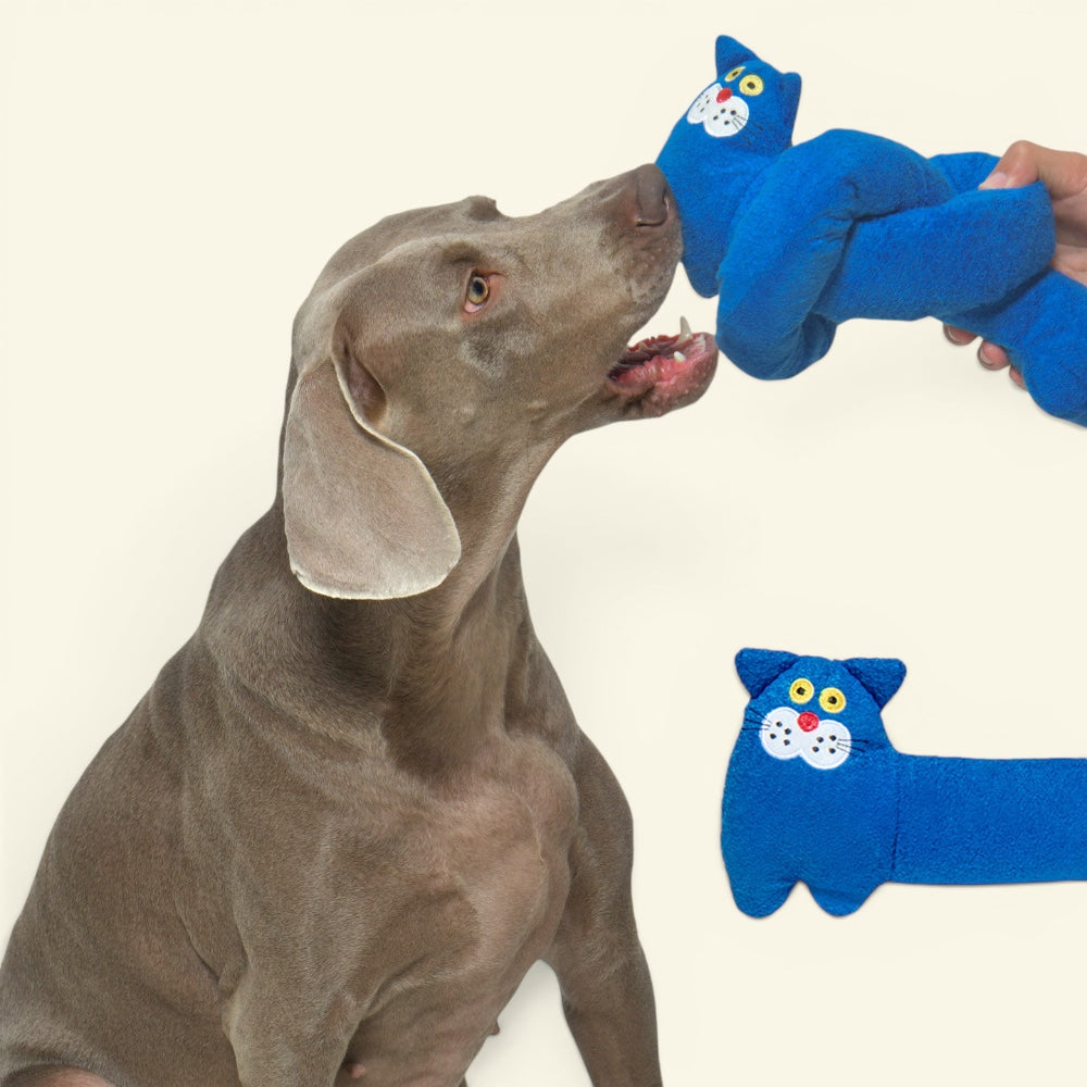 the stretch cat – polyester tug dog toy, detail 2, uggaz