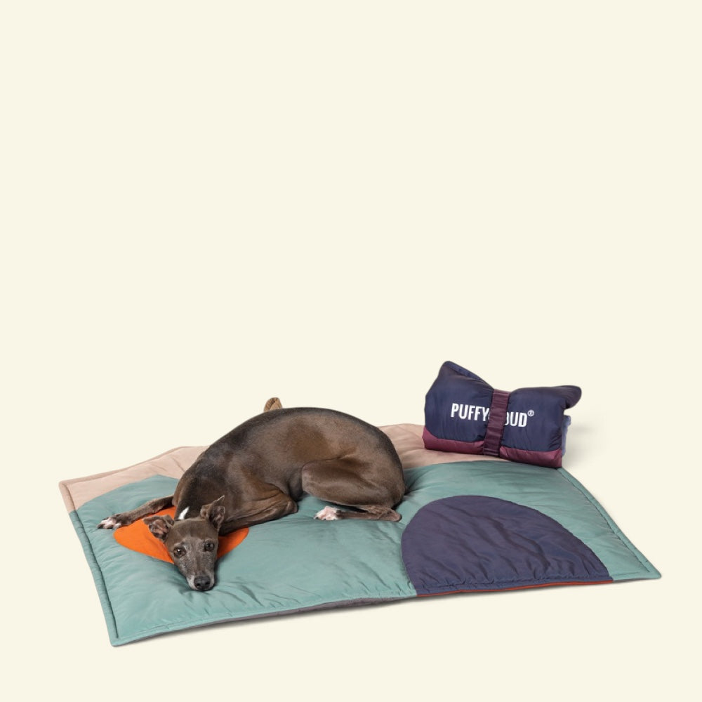 a grey dog curled up on the mint green side of the travel mat, a rolled-up mat with its strap beside it