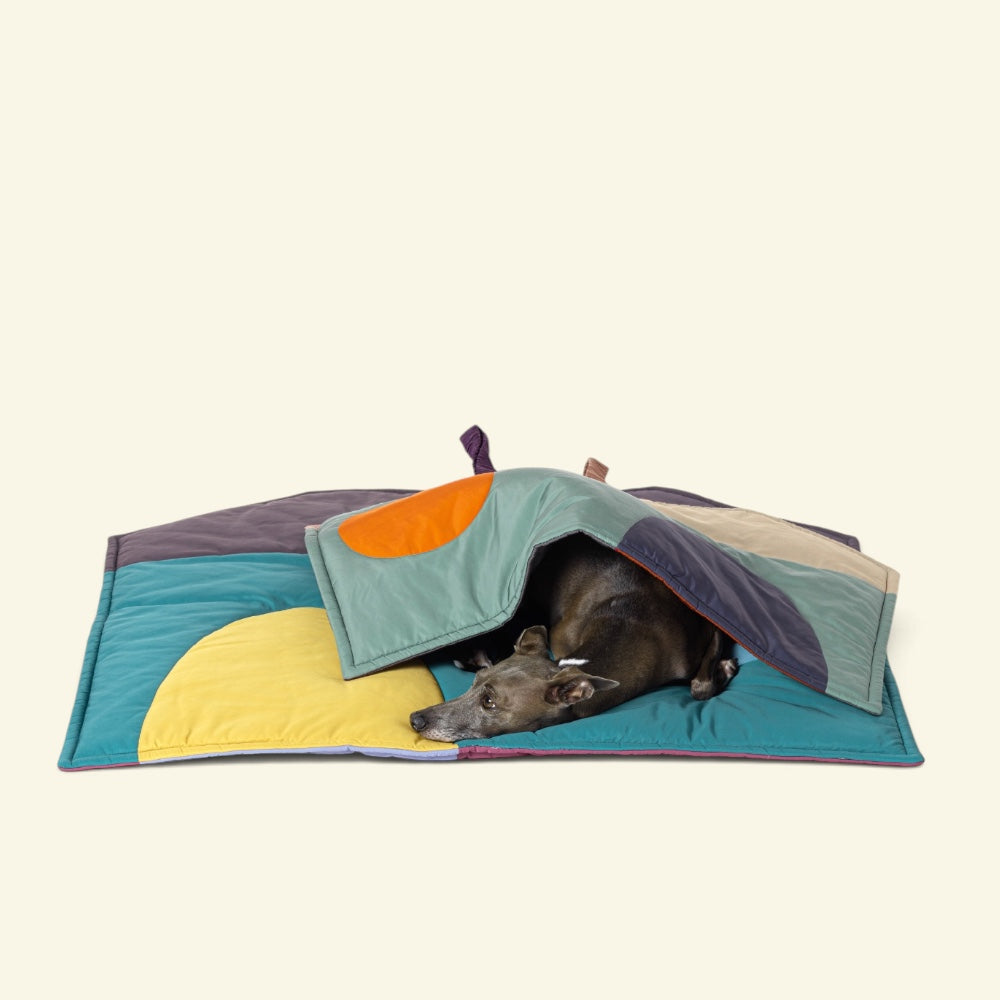 a grey dog napping under a mint & caramel mat folded over it like a little roof, on top of a slate green mat