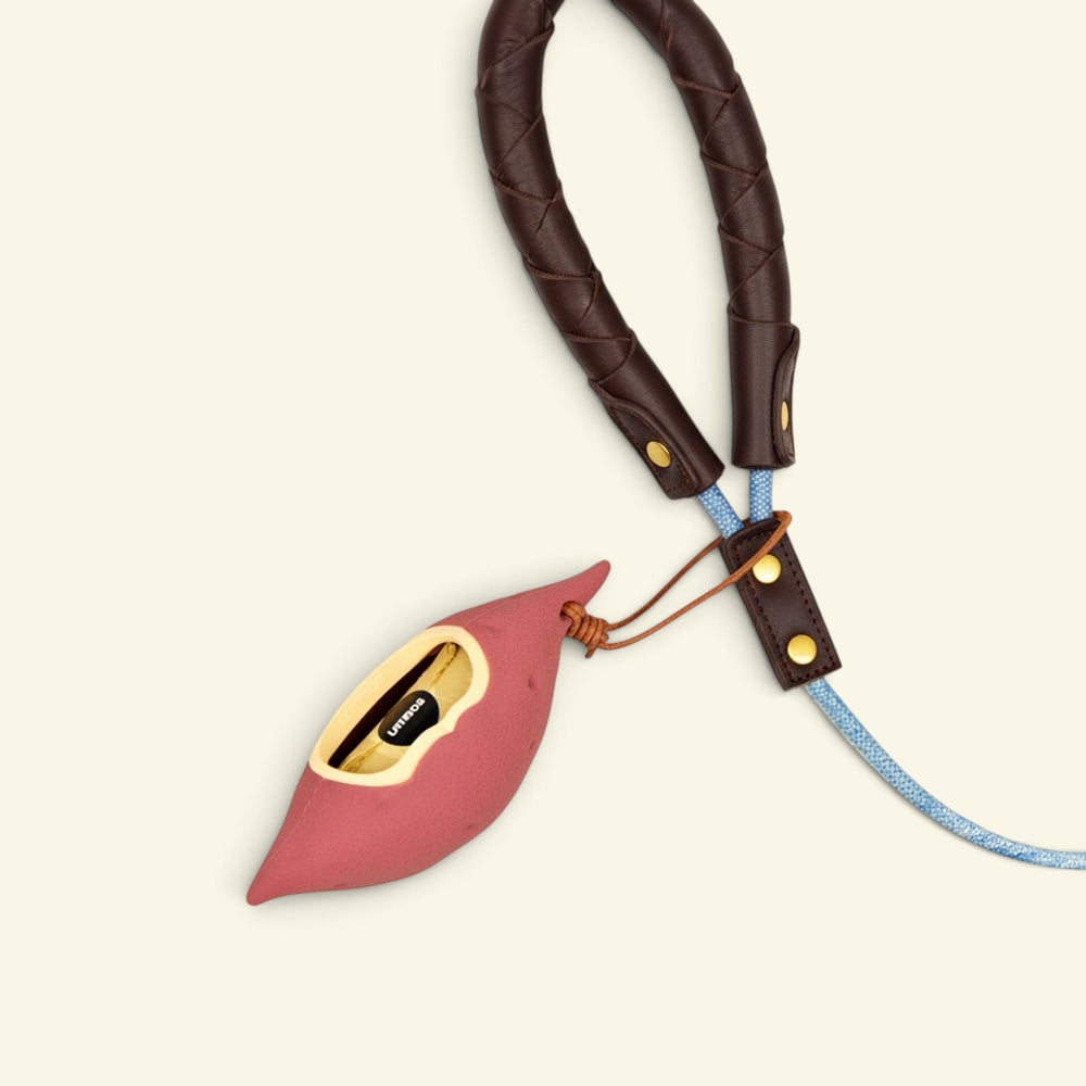 the yam dispenser clipped onto a braided leather leash handle