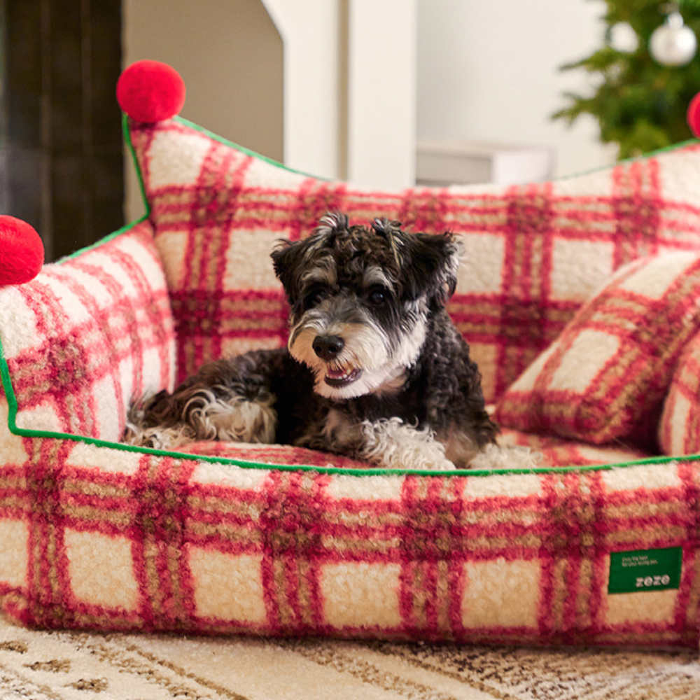 schnauzer resting in the plaid throne, a fuzzy red plaid dog bed with red pom-poms and green piping