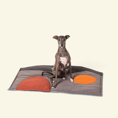a grey dog sitting on the caramel and dark brown side of the mint & caramel mat, with a rust arch and an orange circle