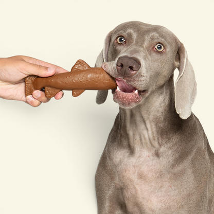 the sardine – natural pine wood chew dog toy, detail 2, uggaz