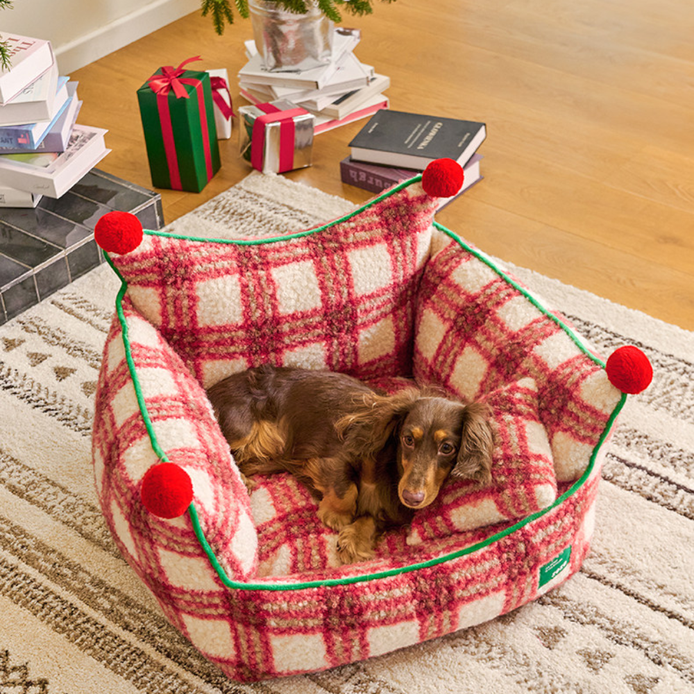 dachshund curled up in the plaid throne red plaid dog bed on a rug near wrapped christmas gifts