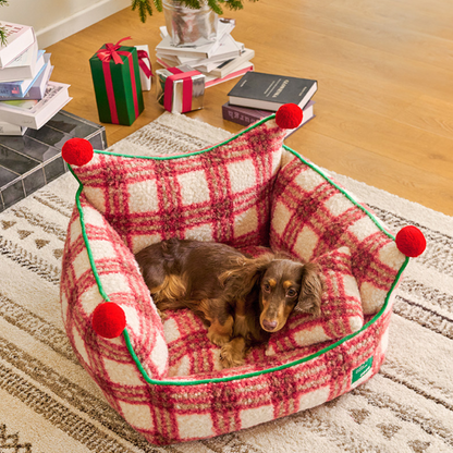 dachshund curled up in the plaid throne red plaid dog bed on a rug near wrapped christmas gifts