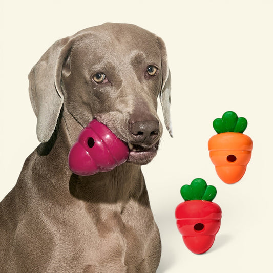 the carrot feeder – tpr treat dispenser dog toy, detail 1, uggaz