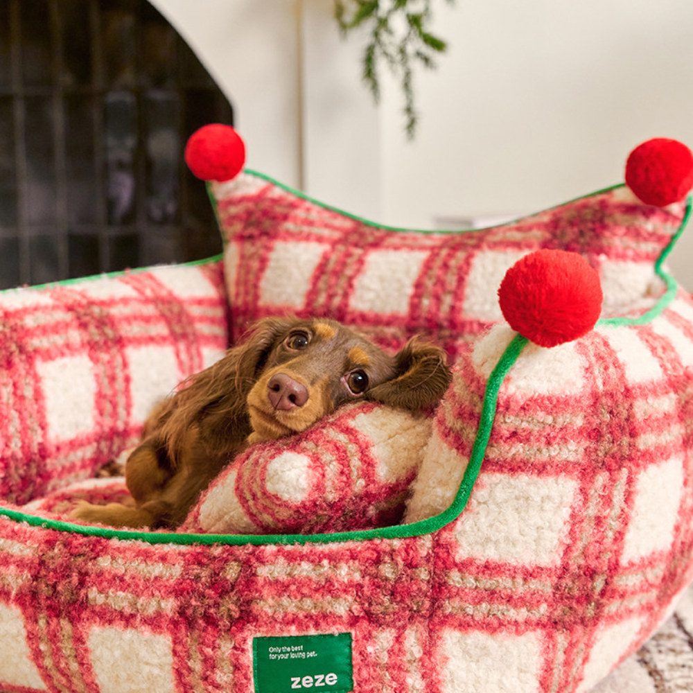 dachshund resting its chin on the plaid pillow inside the plaid throne dog bed