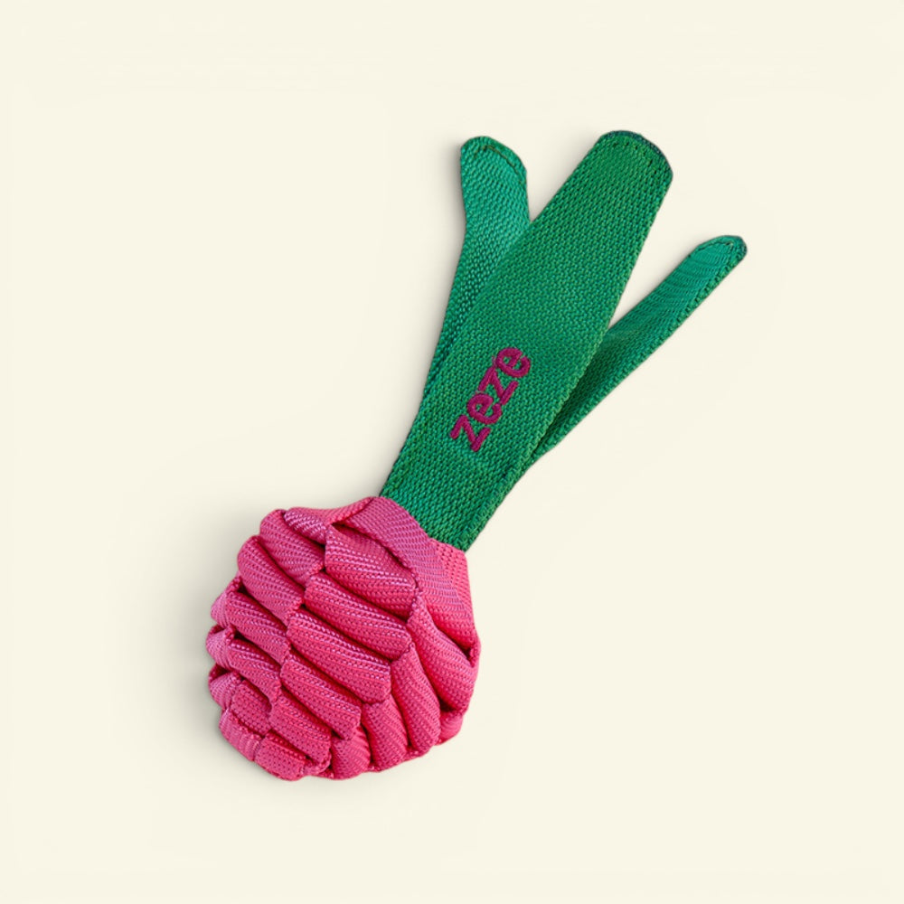 the knot harvest – dragon fruit, braided polyester rope dog toy with squeaker, uggaz
