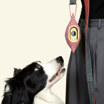 border collie looking up at the yam poop bag dispenser hanging from a leash on someone's waistband