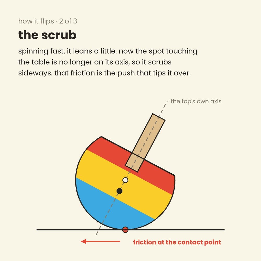 diagram, how a tippe top flips, step 2: the spinning top leans, its axis misses the point touching the table, and friction at that contact point pushes it over
