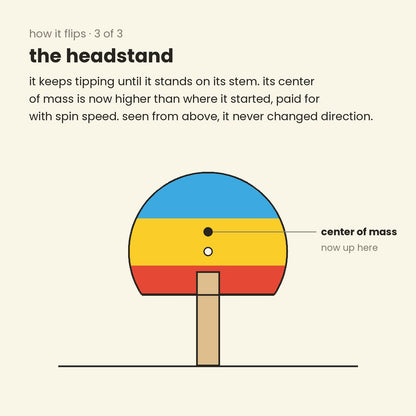 diagram, how a tippe top flips, step 3: the top standing upside down on its stem, center of mass now higher than where it started