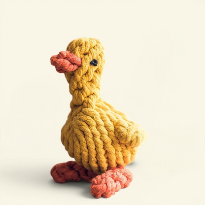 The Knot Zoo